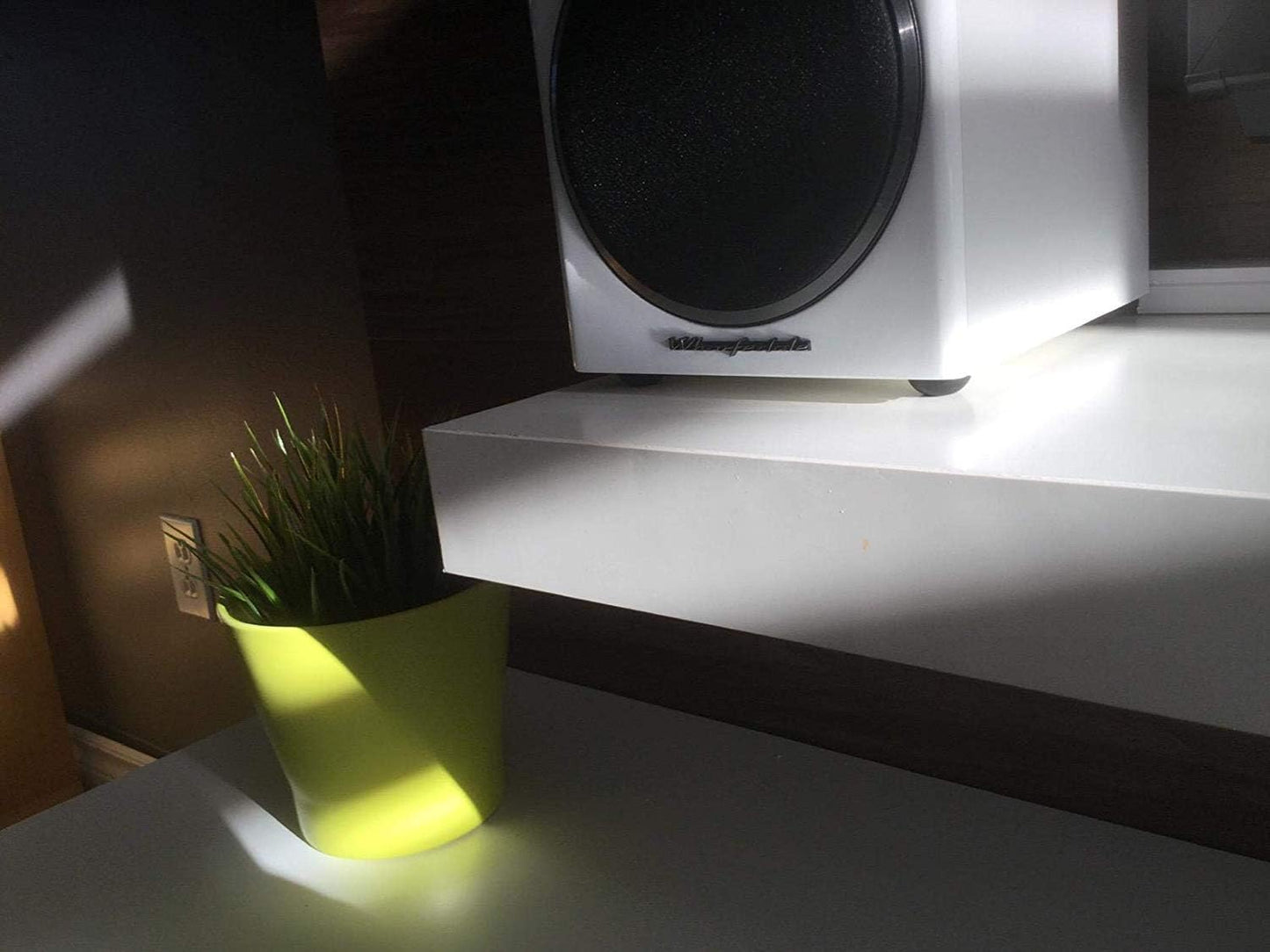 Silicone Speaker Isolation Feet (8-Pack, 1.25") – Non-Skid Adhesive Pads for Turntable, Subwoofer & Audio Equipment – Vibration Dampening, 20 Duro Rubber