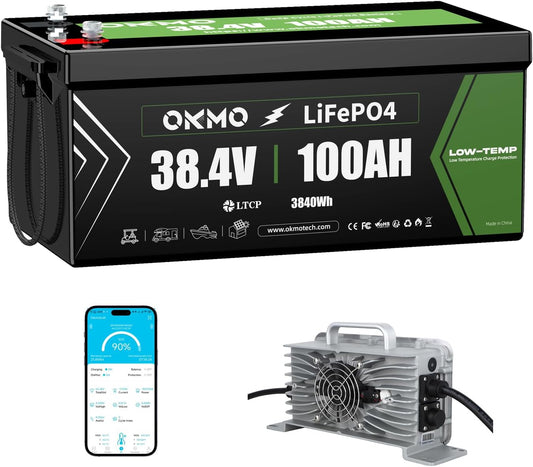 OKMO 36V 100AH Golf Cart Lifepo4 Lithium Battery with 43.8V 22A Charger, Built in 250A Bluetooth BMS, Peak Current 500A(3-5s), Perfect for Golf Cart