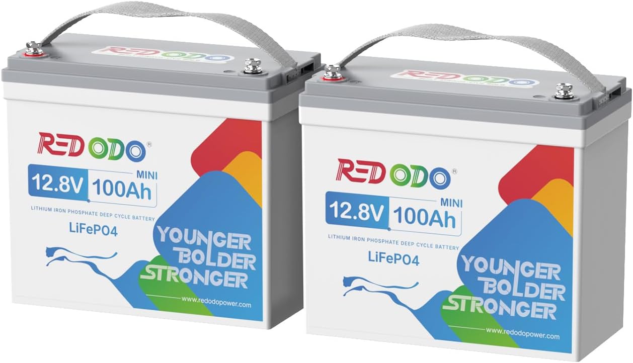 Redodo 2 Pack 12V 100Ah Mini LiFePO4 Lithium Battery, 1280Wh Deep Cycle Battery with Upgraded 100A BMS, UP to 15000 Cycles, Perfect for RV, Camping, Solar Home Storage, Off-Grid, Trolling Motor