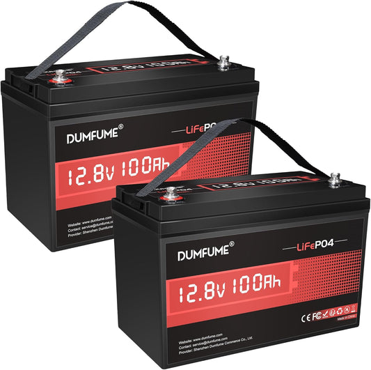 2 pack 12V 100Ah LiFePO4 Lithium Battery Built-in 100A BMS, 6000+ Cycles, 1280Wh, High Energy Density, Ideal for RVs, Boats, and Off-Grid Applications