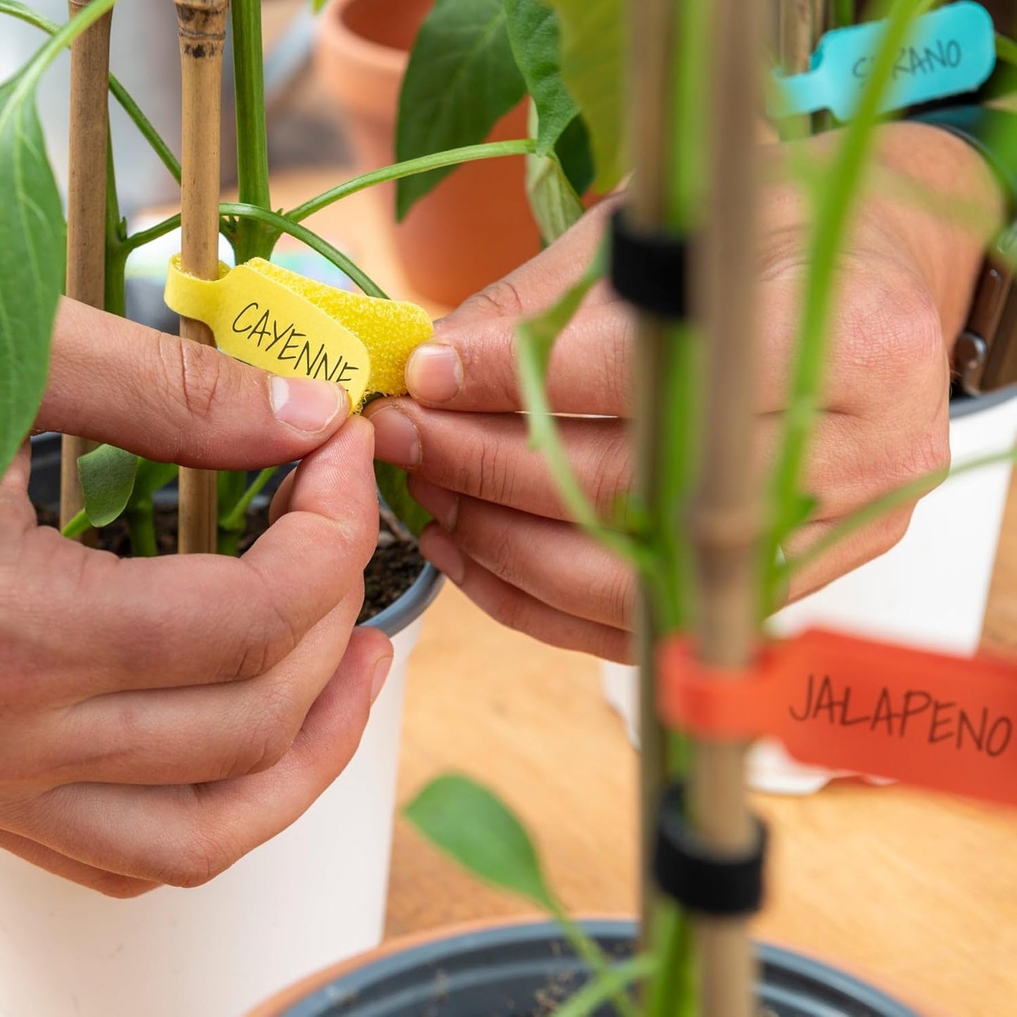 24 Pcs Multi-Color Cable Labels Write On Cord Labels Rectangle Cable Tags Wire Labels Cable Management and Identification Hook and Loop Wire Tags Wire Tags for Electronics and Computers 8 Colors